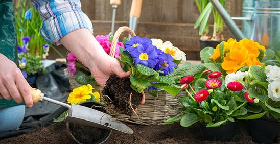 aea9890d3a59f1706d7b3a9704371c41 aea9890d3a59f1706d7b3a9704371c41.jpg