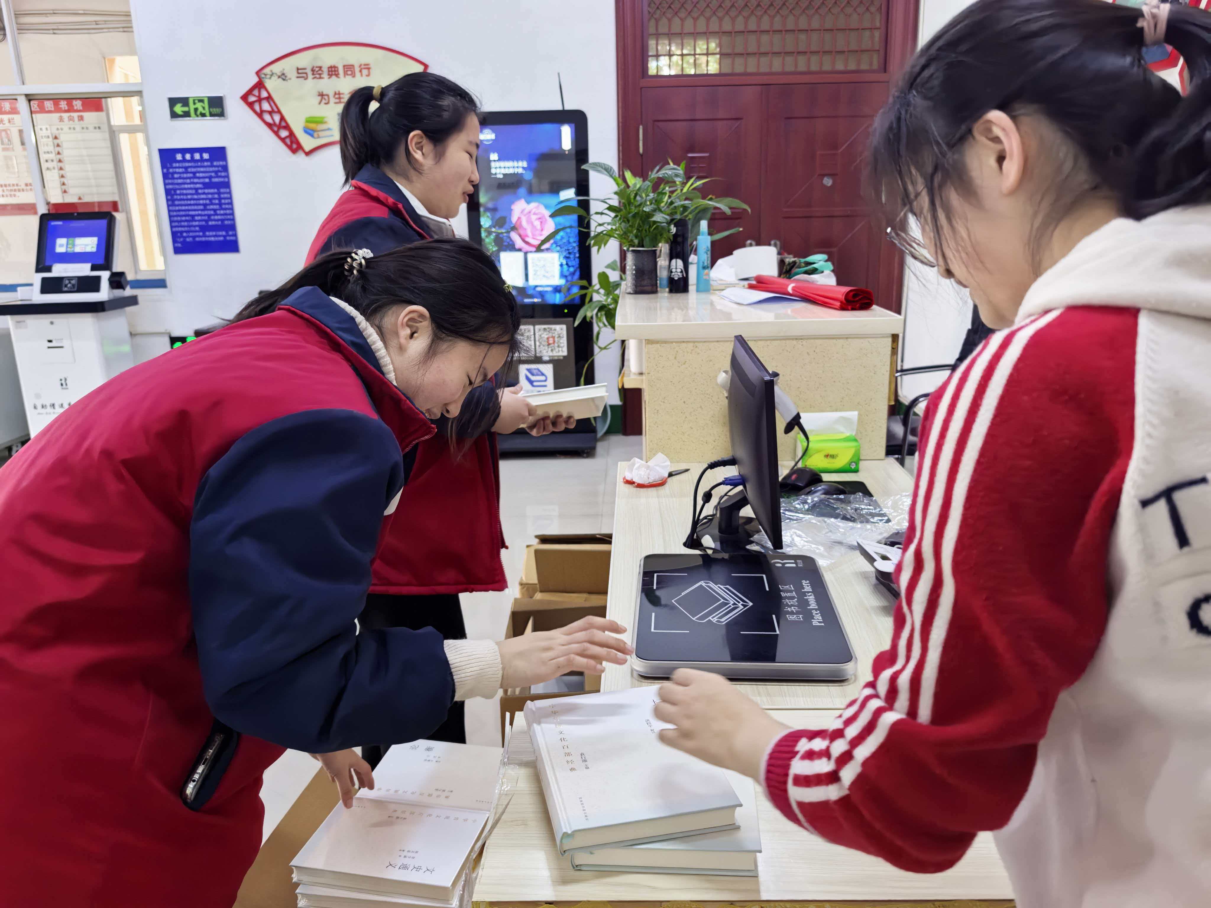 3e89a239d20327b10f80bee475220a56.jpg?v=1774082093216