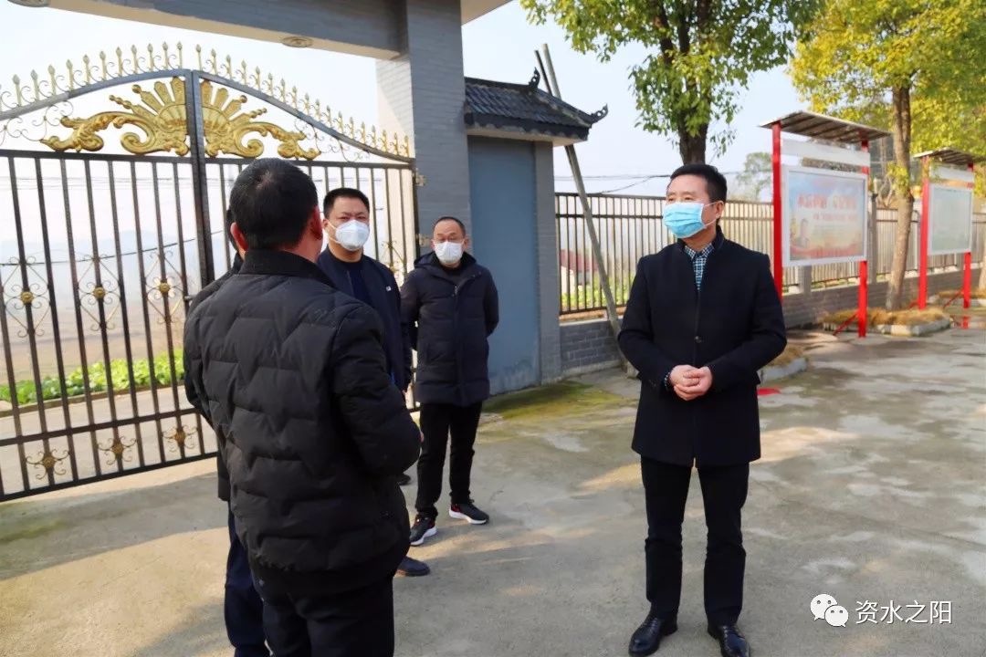 5 5.jpg?v=1765897966693