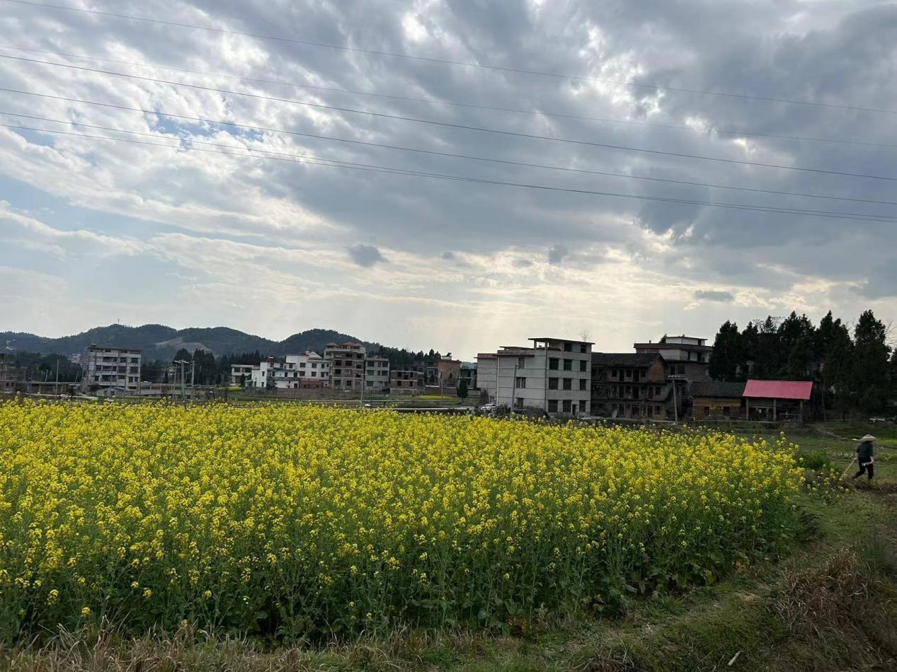 wps_doc_5 wps_doc_5.jpeg