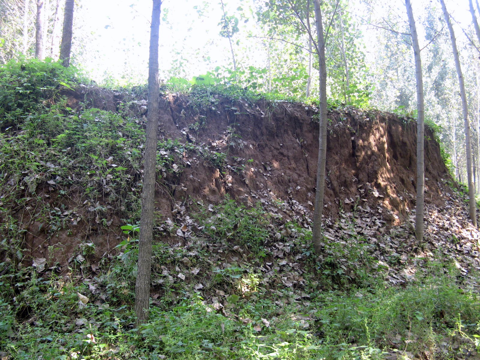 5侯家台墓群 5侯家台墓群.jpg