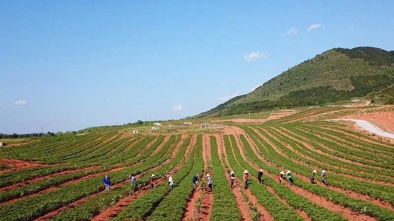 微信图片_20200713181702 微信图片_20200713181702.jpg