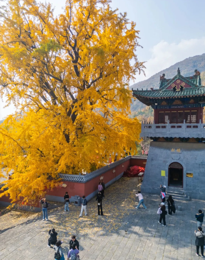 c0538bf86dd8ede20cb61af9e78d0716png