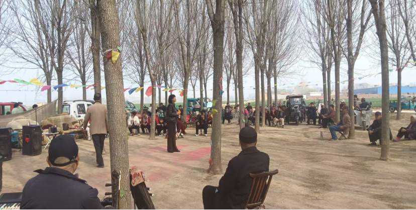 图片14png