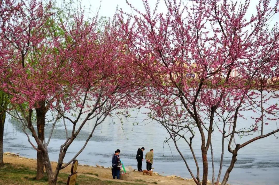 微信图片_20210318100043 微信图片_20210318100043.jpg