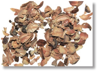 pagenumber_ebook=110,pagenumber_book=97