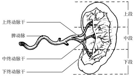 pagenumber_ebook=501,pagenumber_book=486