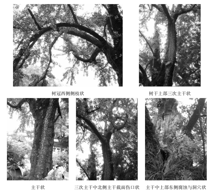 pagenumber_ebook=118,pagenumber_book=118