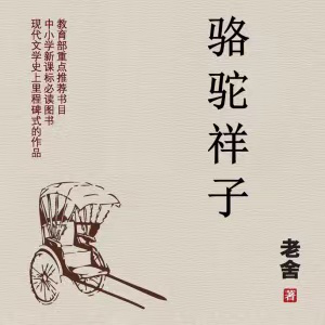 图片.png?v=1753265864358
