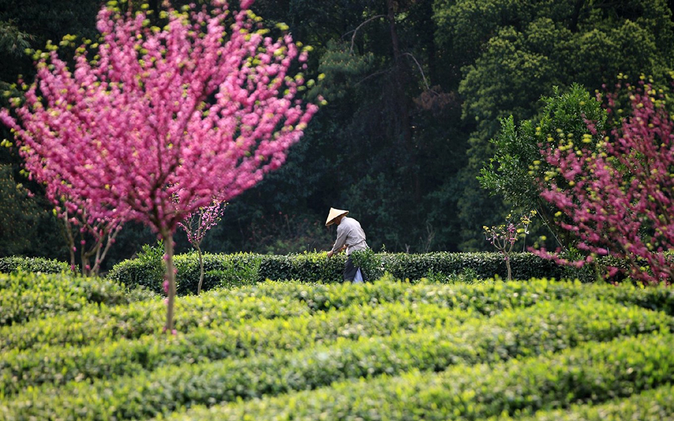 CoUBUl59dHmAexxjAAYs5VVYfjA280 CoUBUl59dHmAexxjAAYs5VVYfjA280.jpg