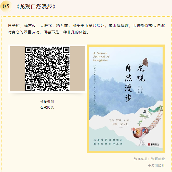 image image.png?v=1763579420491