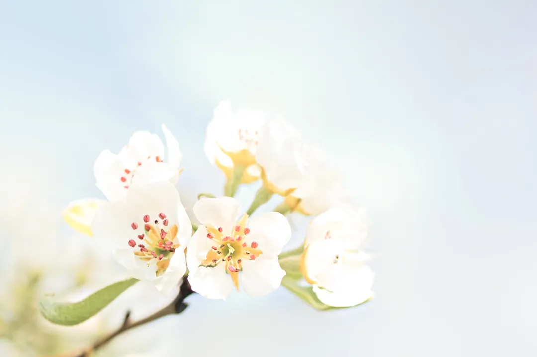 1 1.png?v=1762543189891