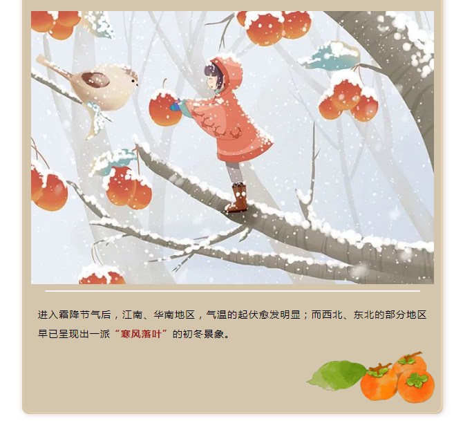 image.png?v=1750226782663