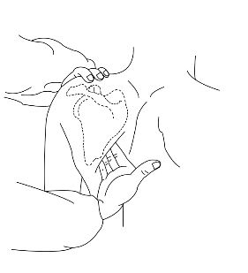 pagenumber_ebook=236,pagenumber_book=236