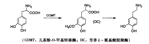 pagenumber_ebook=93,pagenumber_book=75