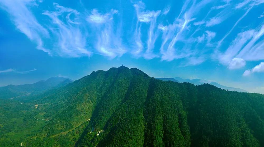 微信图片_20200713201632