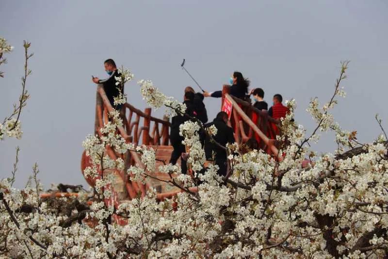 微信图片_20200407094911 微信图片_20200407094911.jpg