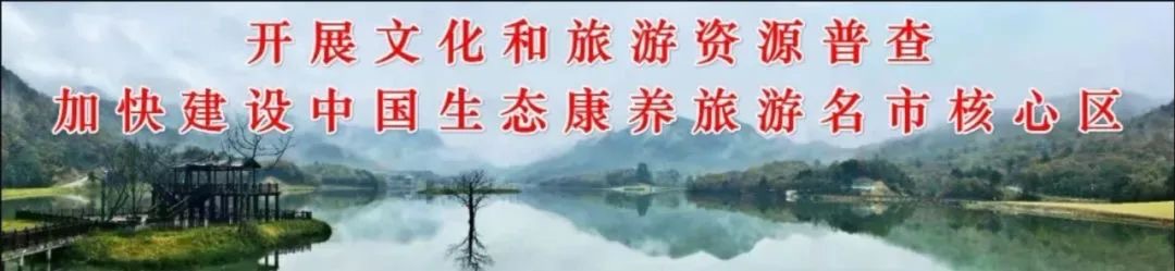 IMG_1400 IMG_1400.jpg?v=1765781105416