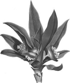 pagenumber_ebook=257,pagenumber_book=257