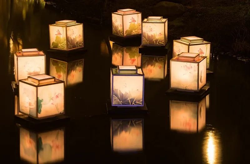 推 推.jpg?v=1765913837081