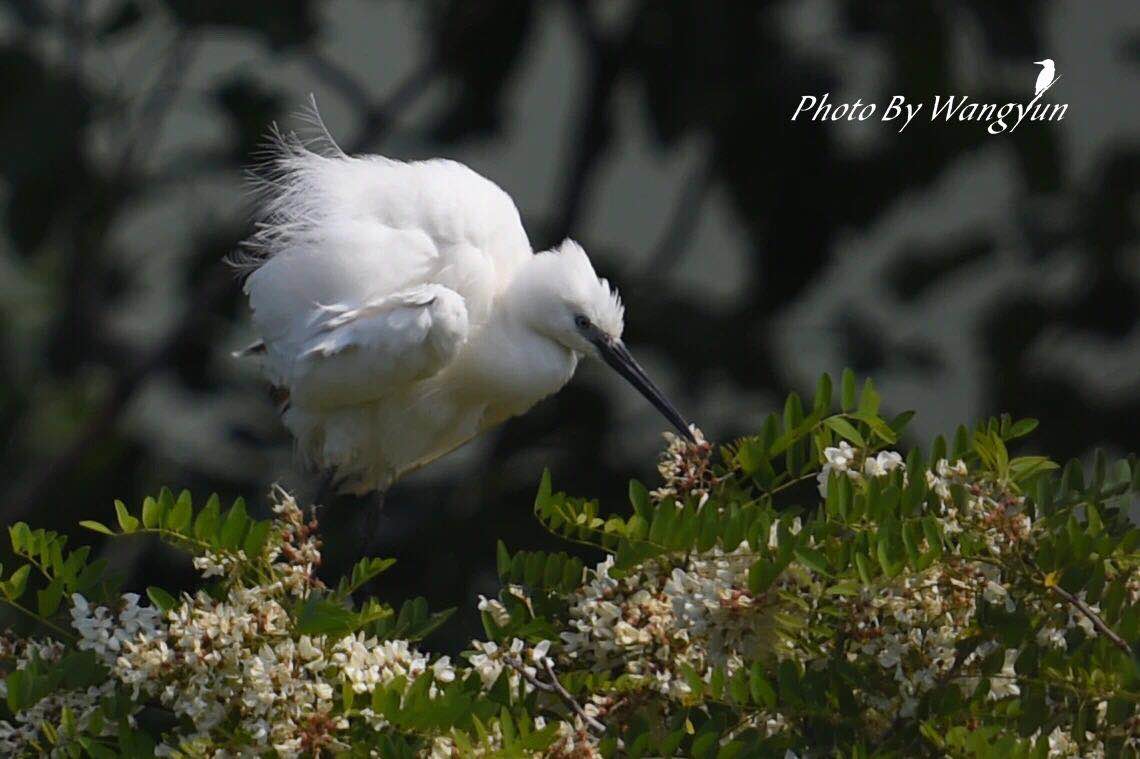 微信图片_202006051641124