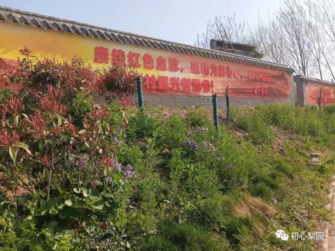 微信图片_20220331090926