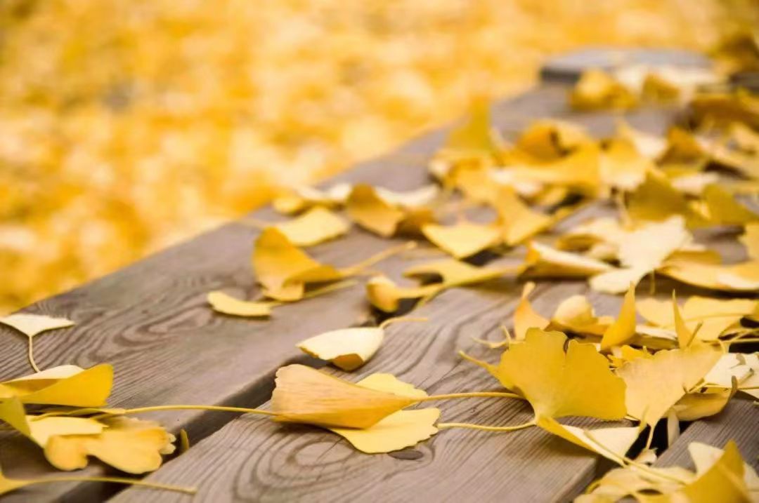 2018875713 2018875713.jpg