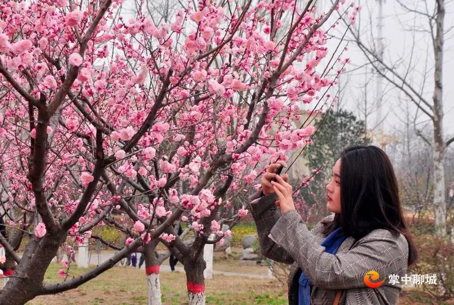 微信图片_20210324085040 微信图片_20210324085040.jpg