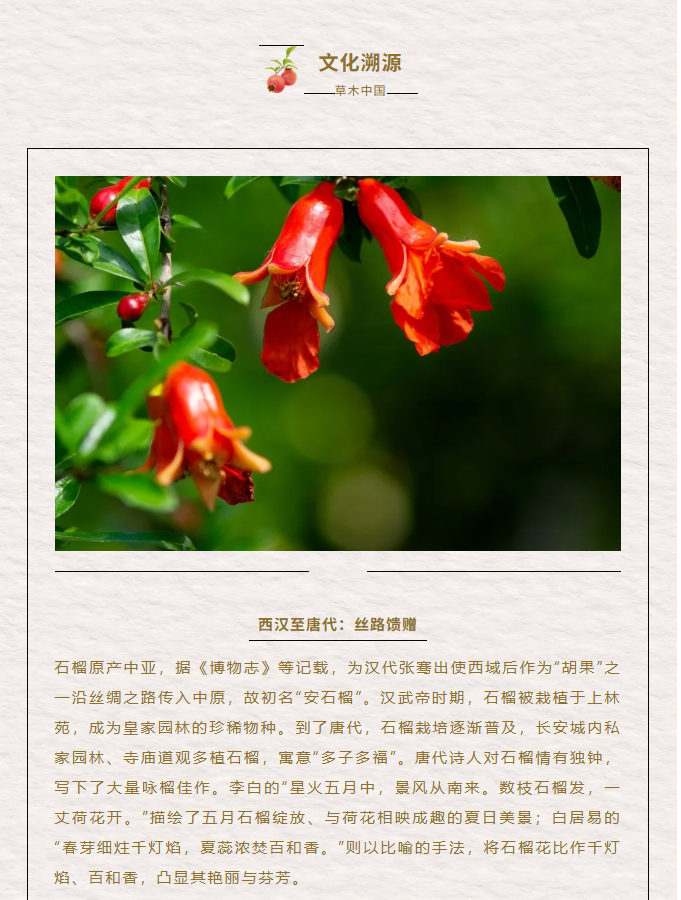 image.png?v=1762073883182