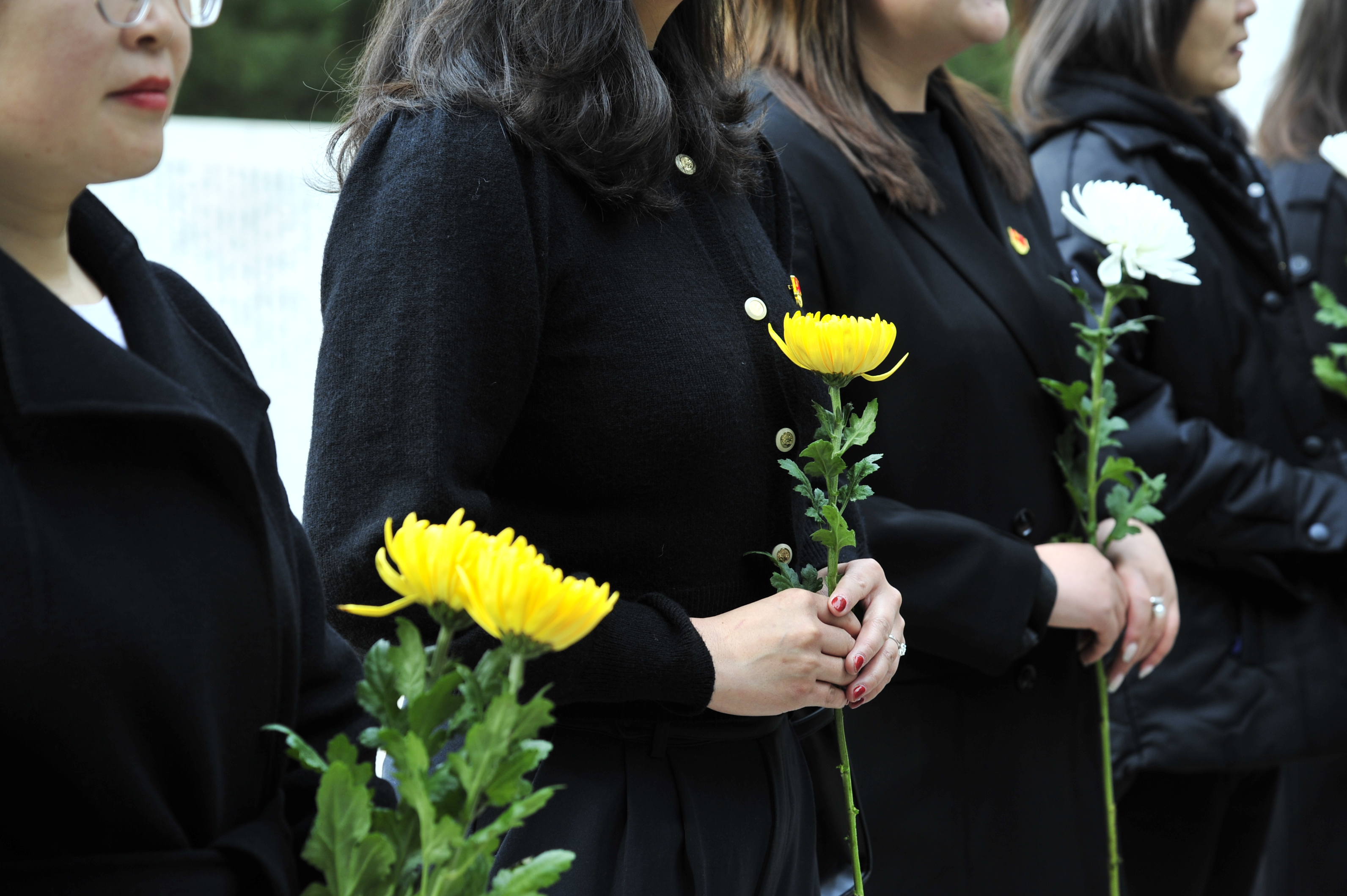 _DSC1378 _DSC1378.jpg