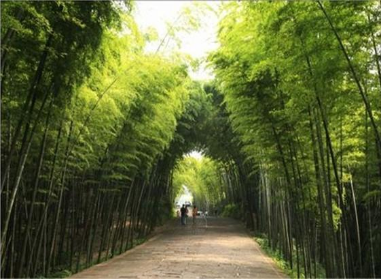 微信图片_20200614094954 微信图片_20200614094954.png