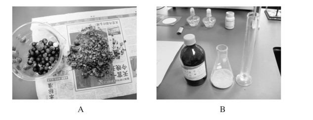 pagenumber_ebook=113,pagenumber_book=105