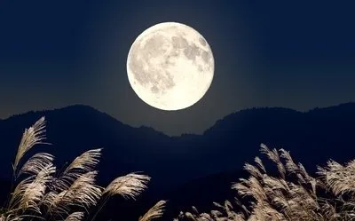 image image.png?v=1770174975875