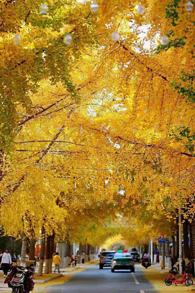 微信图片_20201214173819