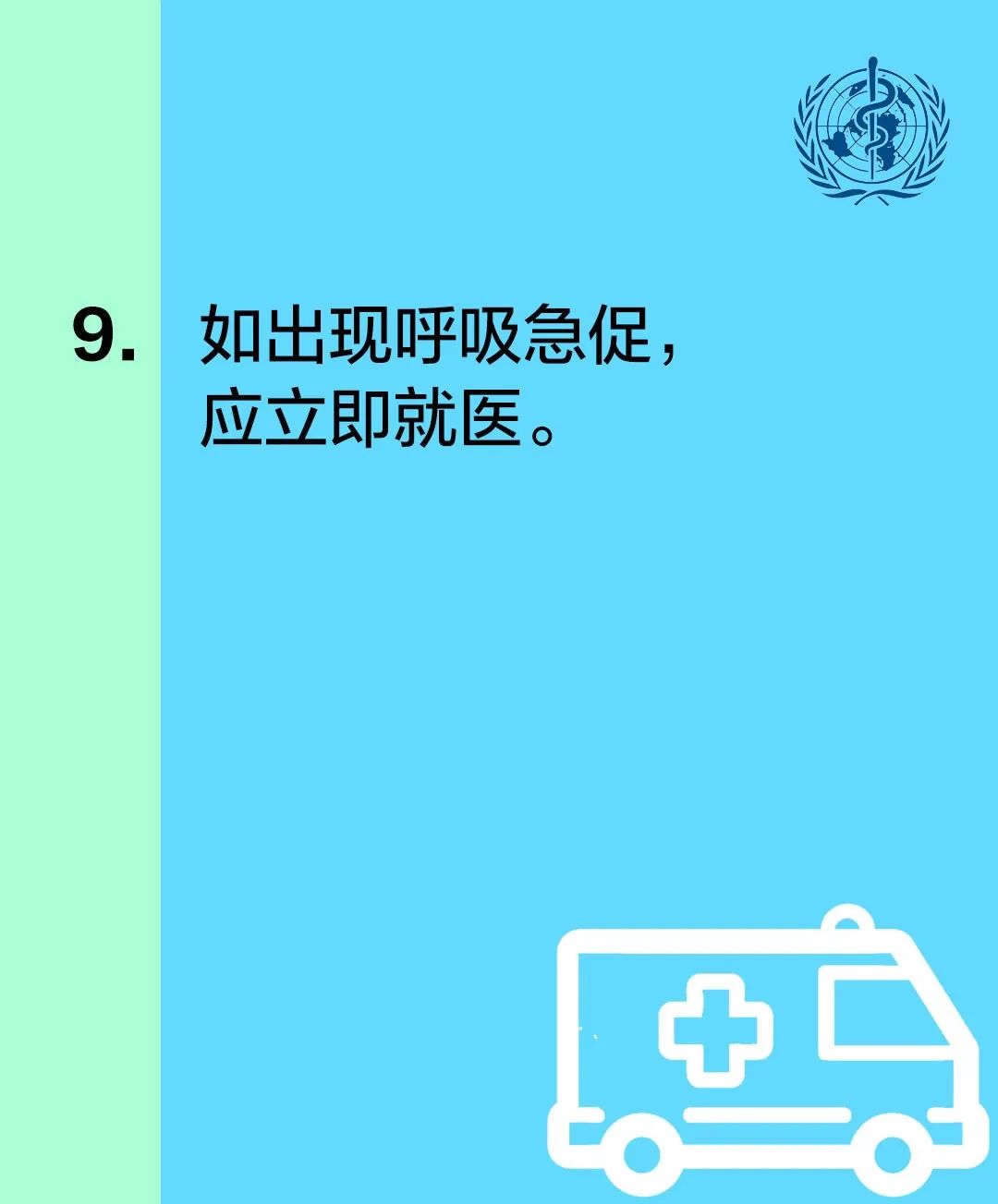 9.jpg?v=1749303309960