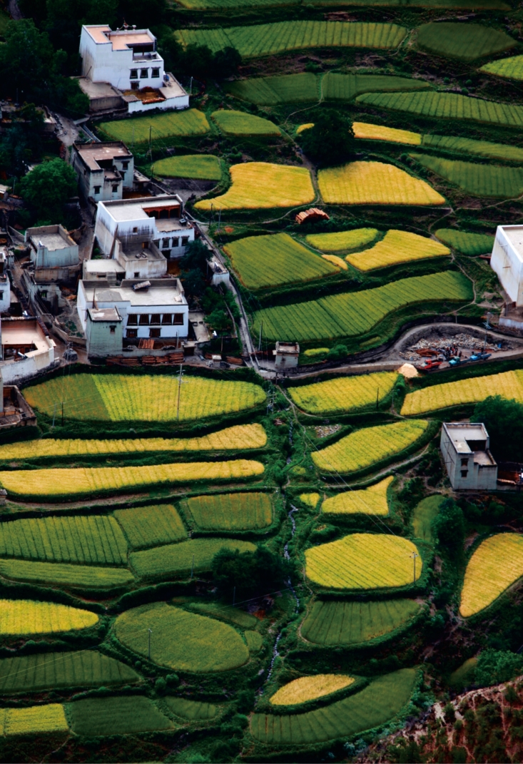 pagenumber_ebook=62,pagenumber_book=50