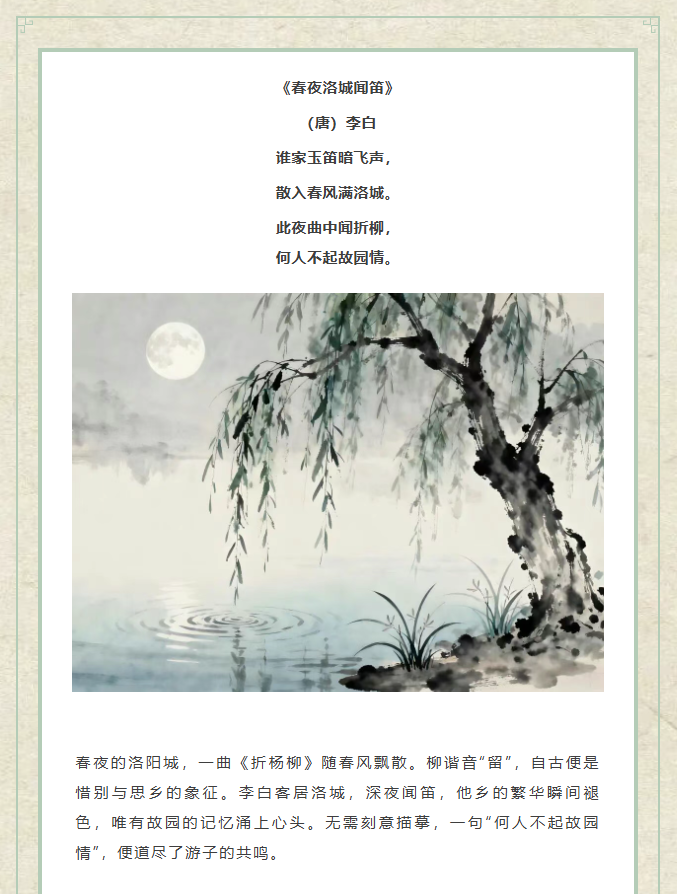 image.png?v=1766278433544