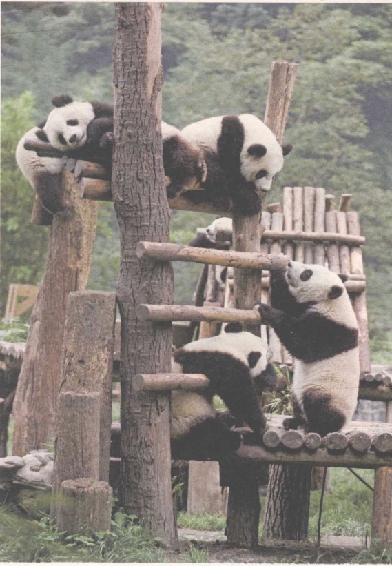 pagenumber_ebook=175,pagenumber_book=161