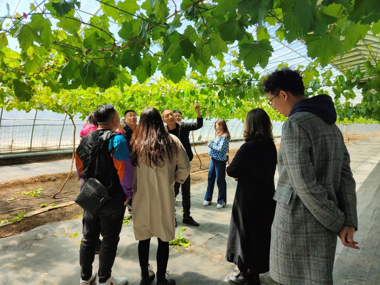 微信图片_20210416150159