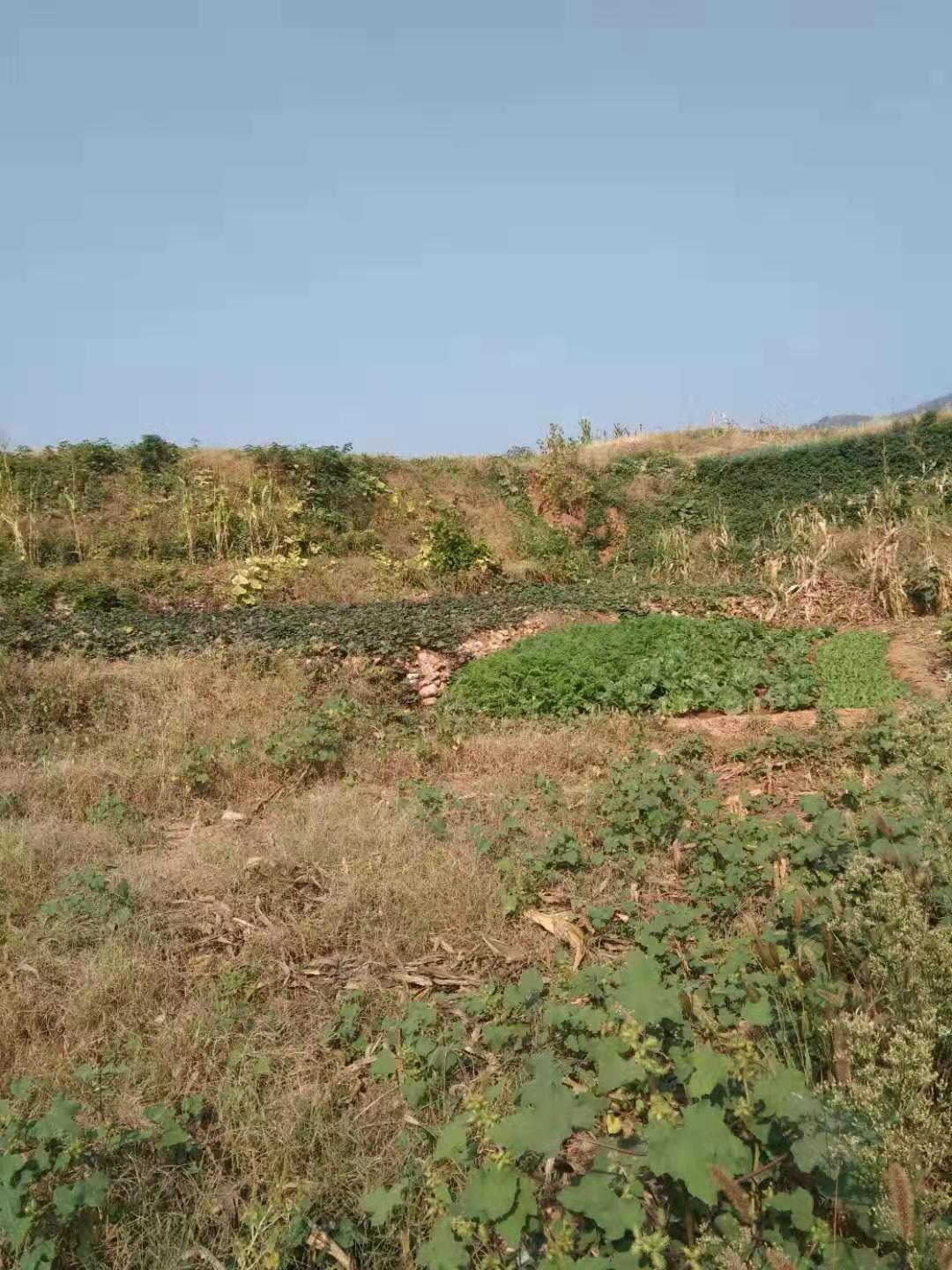 44cda19a05683d152e07db60e0cf181