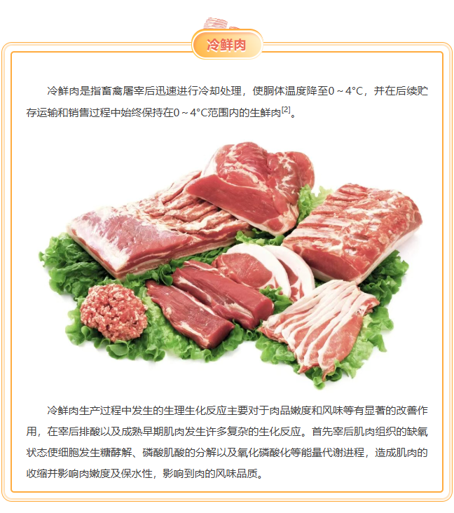 image.png?v=1777133572586