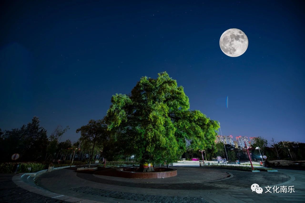 226ed44263ad19d0d62b53abdd60677b 226ed44263ad19d0d62b53abdd60677b.jpg