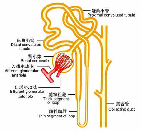 新建 Microsoft PowerPoint 演示文稿.jpg