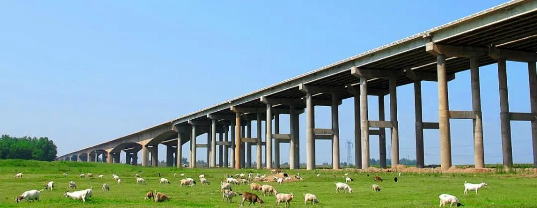 读意人生 读意人生.jpg