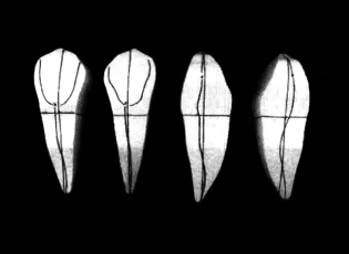 pagenumber_ebook=199,pagenumber_book=190