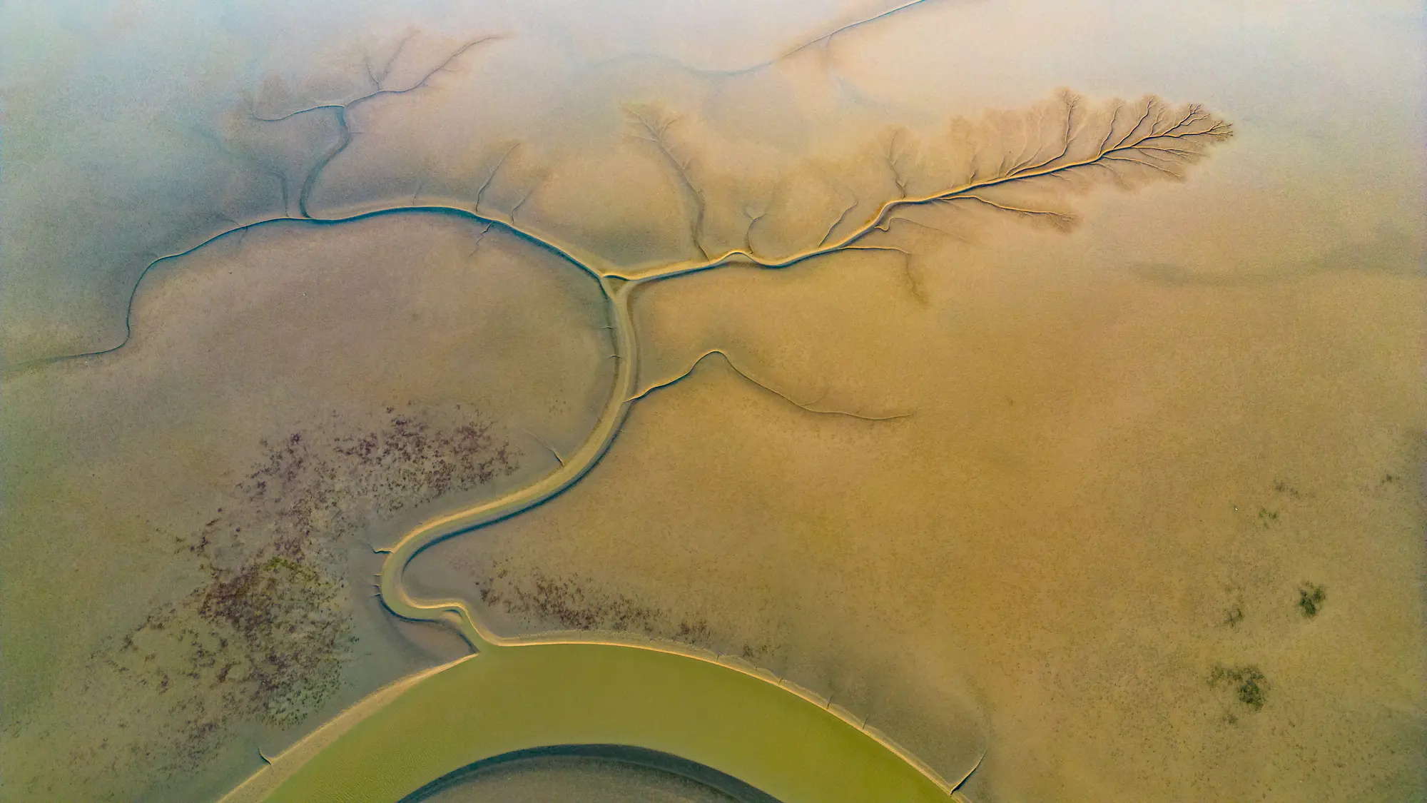 1_看图王 1_看图王.jpg