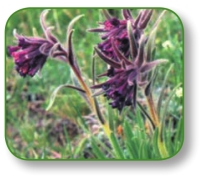 pagenumber_ebook=76,pagenumber_book=63