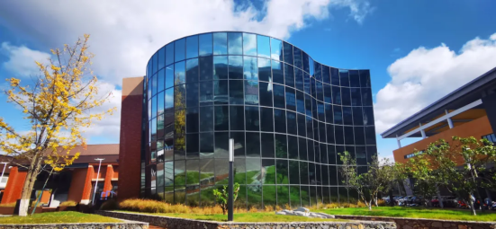 image image.png?v=1770186445315