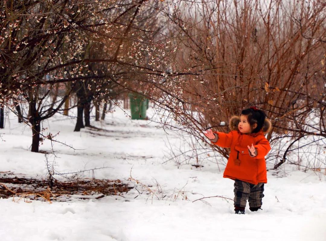 微信图片_20210301084913 微信图片_20210301084913.jpg