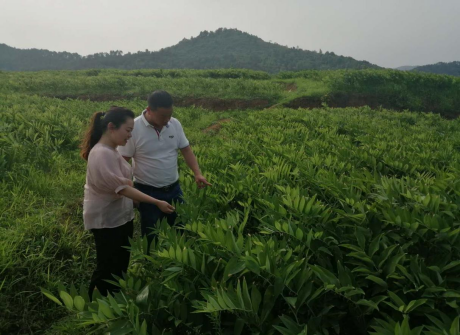 图片 59 图片 59.png